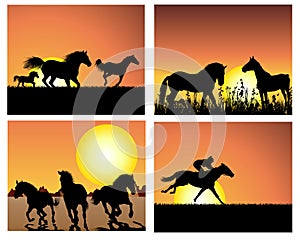 Horse on sunset backgrounds set