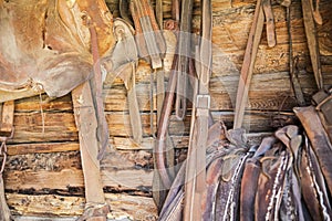 Horse tack leather strap saddle log wall photo