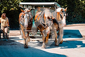 Horse and buggy tours on Mackinac Island