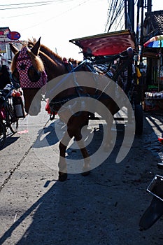 A horse towing a carriage, with a street background