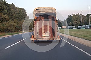 Horse trailer in action on a motorway