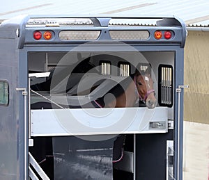 Horse trailer parked near racetrack