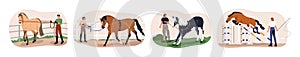 Horse training set. Equine handler teaching stallion obedience and commands, bridle and hurdle. Exercising, preparing