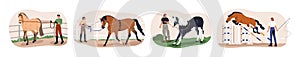 Horse training set. Equine handler teaching stallion obedience and commands, bridle and hurdle. Exercising, preparing photo