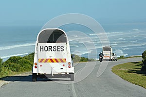 Horse transport during holidays