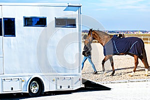 Horse transportation van , equestrian sport