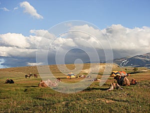 Horse trekking in Mongolia. Wild campingsite.