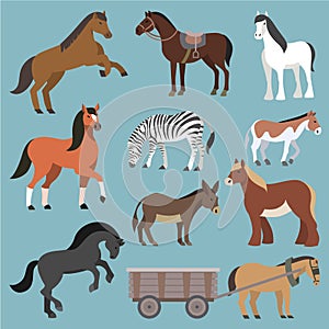 Horse vector animal of horse-breeding or equestrian and horsey or equine stallion illustration animalistic horsy set of
