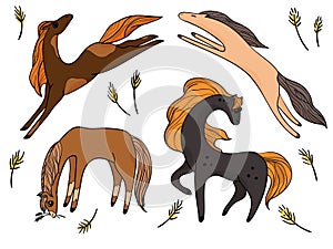 Horse vector illustration. hand drawn cute farm animal