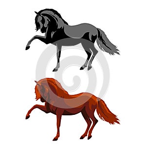 Horse Vector Illustration. The horse knocks hoof