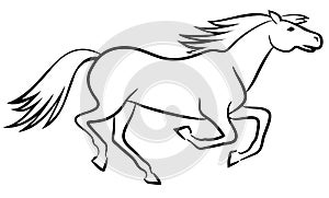 Horse vector outline