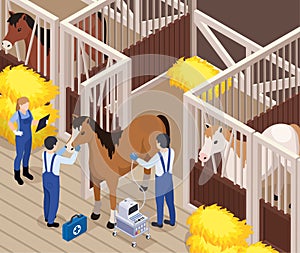 Horse Veterinary Isometric Composition