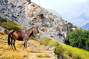 Horse and village in atlas mountains, morocco