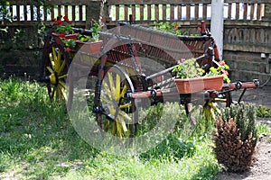 Horse wagon