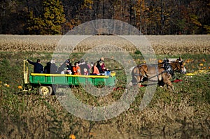 Horse and wagon ride