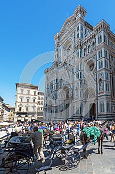 Horse wagon for tourists in Florence