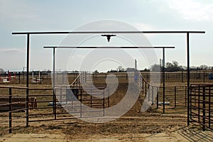 Horse Walk to Corrals