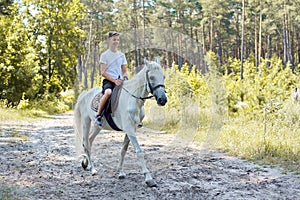 Horse walks, teenager boy riding white horse in summer forest