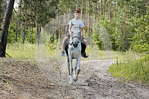 Horse walks, teenager boy riding white horse in summer forest