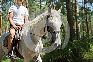 Horse walks, teenager boy riding white horse in summer forest