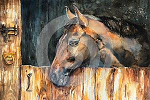 Horse watercolors painted.