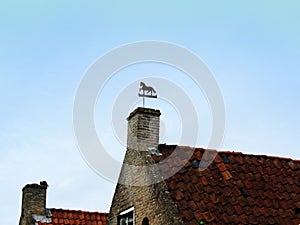 Horse Weather Vane Vertical image on Top of Home