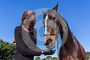 Horse Woman Feed Training Affection Outdoors