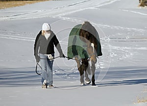 Horse and woman in snow photo