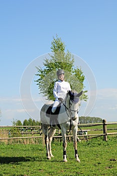 Horse and young girl rider