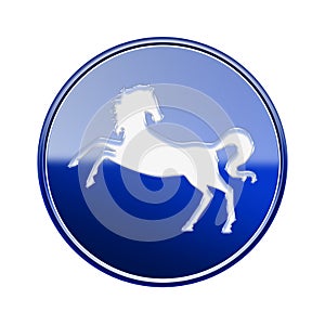 Horse Zodiac icon blue..