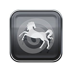 Horse Zodiac icon grey..