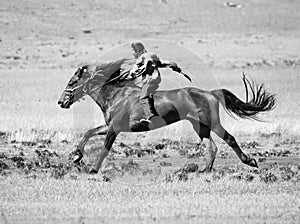 On horseback across the steppe