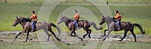 On horseback across the steppe