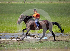 On horseback across the steppe