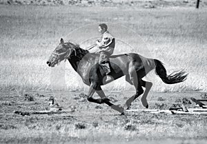 On horseback across the steppe