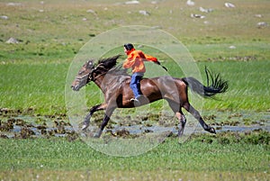 On horseback across the steppe photo