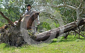 Horseback cross country riding