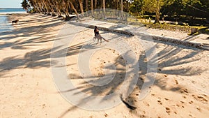 Horseback rider on the beach Aerial view.