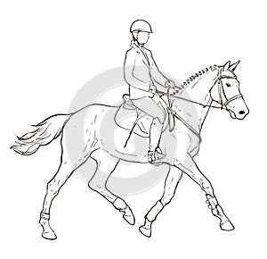 Horseback rider drawing on white, hand drawn illustration on equestrian sports theme, horse and young female sketch