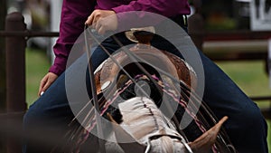 Horseback Rider Holds the Reins