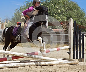 Caballo jinete saltando 