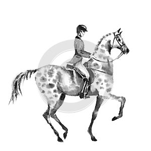 Horseback rider man and dapple grey horse. Black and white monochrome watercolor or ink hand drawing illustration.