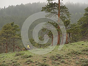 Horseback Rider in Mountains