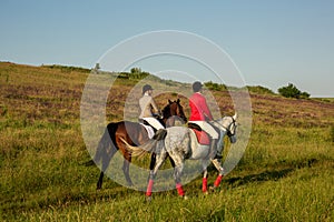 Horseback riders. Two attractive women ride horses on a green meadow