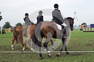 Horseback riding