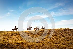 Horseback riding photo