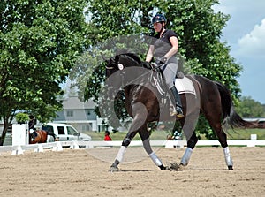 Horseback riding