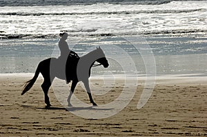 Horseback riding photo