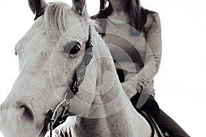 Horseback riding concept in monochrome