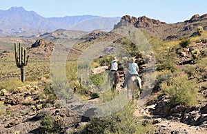 Horseback Riding in the Desert